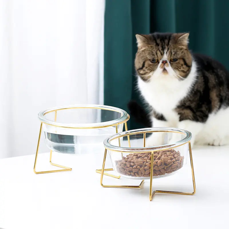 Elevated Slanted Glass Pet Bowl for Cats and Dogs