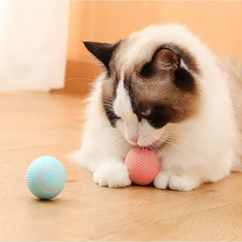Electric Smart Ball Toy