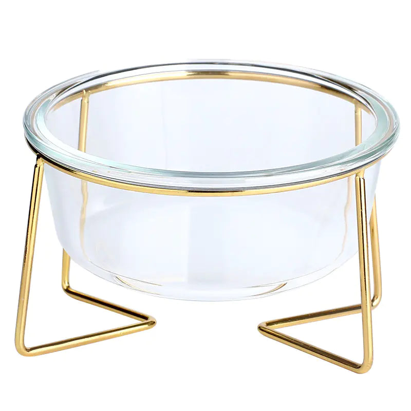 Elevated Slanted Glass Pet Bowl for Cats and Dogs