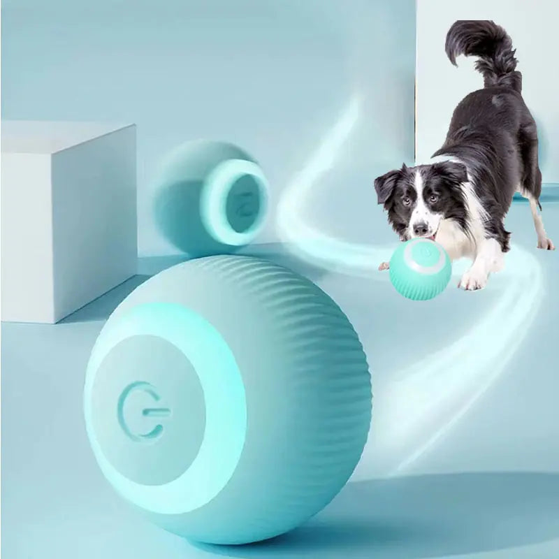 Electric Smart Ball Toy