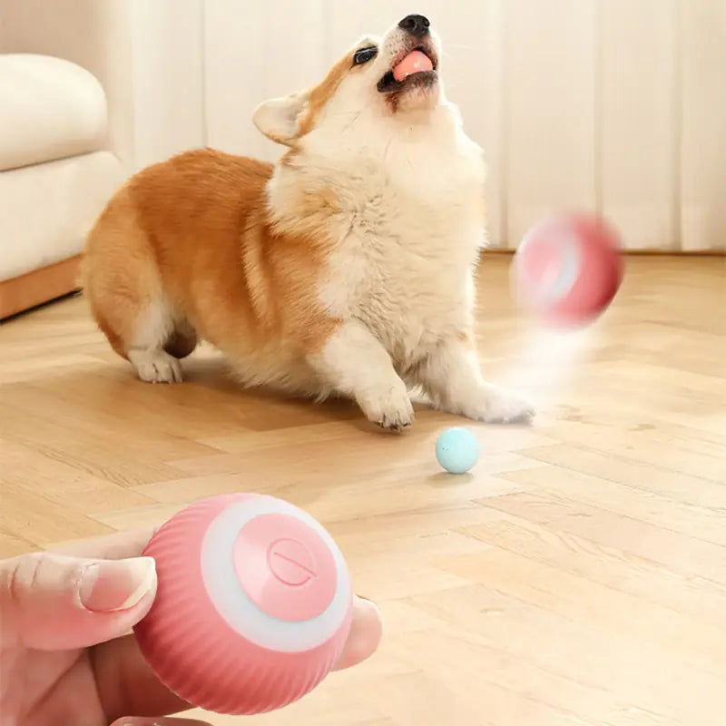 Electric Smart Ball Toy