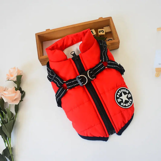New Dog Vest for Pets - Teddy & Bichon Style